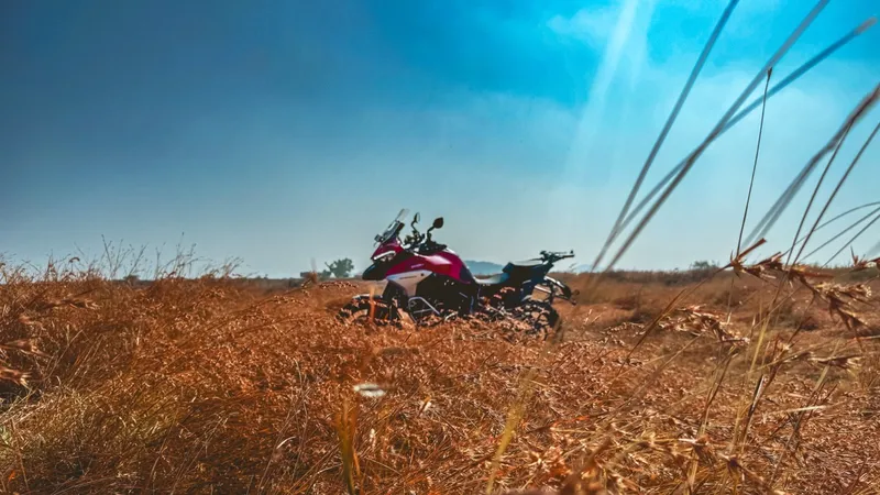 The red and white Ducati Multistrada V4 standing in tall golden grass under a hard blue sky