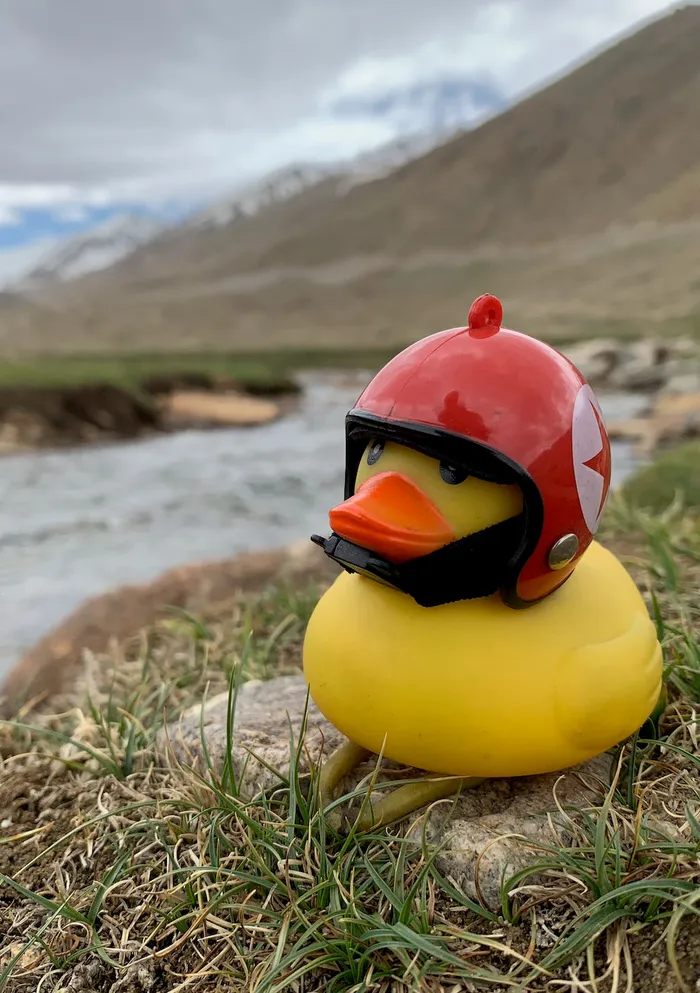 Leh
